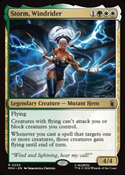 画像1: 【英語】ウィンドライダー、ストーム/Storm, Windrider