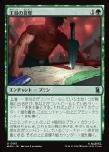 【日本語】王国の簒奪/Claim the Kingdom