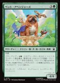 【日本語】ペット・アベンジャーズ/Pet Avengers