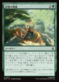 【日本語Foil】回復の奥義/Restorative Technique