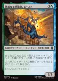 【日本語】博識なる軽業師、ビースト/Beast, Erudite Aerialist
