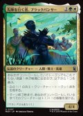 【日本語Foil】先陣を行く者、ブラックパンサー/Black Panther, Vanguard