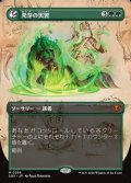 ☆特殊枠【日本語】発芽の実習/Germination Practicum