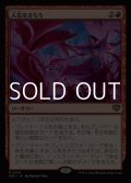 【日本語Foil】人気をさらう/Steal the Show