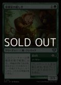 【日本語Foil】保健室の癒し手/Infirmary Healer