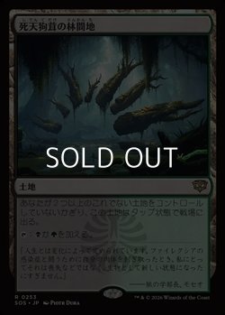 画像1: 【日本語】死天狗茸の林間地/Deathcap Glade