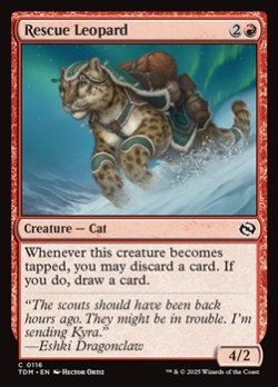画像1: 【英語】救助豹/Rescue Leopard
