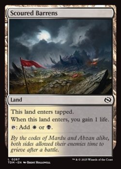 画像1: 【英語】磨かれたやせ地/Scoured Barrens
