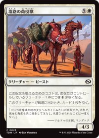 【日本語】塩路の荷役獣/Salt Road Packbeast
