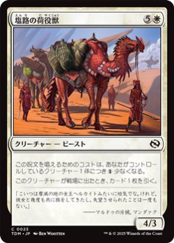 画像1: 【日本語】塩路の荷役獣/Salt Road Packbeast