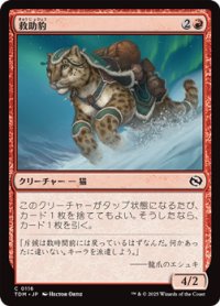 【日本語】救助豹/Rescue Leopard