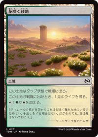 【日本語】花咲く砂地/Blossoming Sands