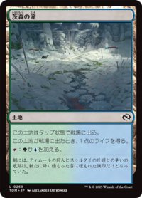 【日本語】茨森の滝/Thornwood Falls