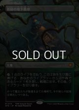 ☆特殊枠【日本語】新緑の地下墓地/Verdant Catacombs