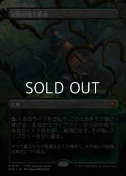 画像1: ☆特殊枠【日本語】新緑の地下墓地/Verdant Catacombs