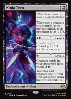 画像1: 【英語】若き忍び/Ninja Teen