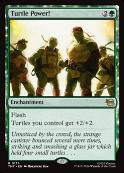 画像1: 【英語】タートル・パワー！/Turtle Power!