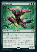【日本語Foil】春葉の報復者/Spring-Leaf Avenger