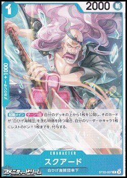 画像1: 【C】スクアード