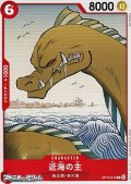 【C】近海の主