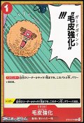 【C】毛皮強化