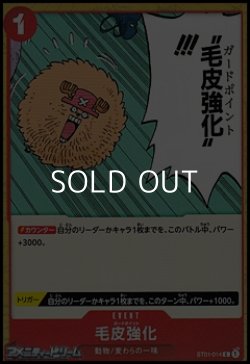 画像1: 【C】毛皮強化