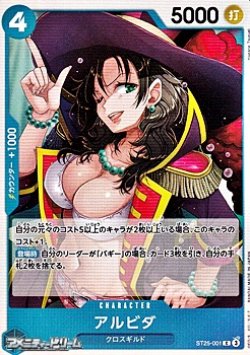 画像1: 【C】アルビダ