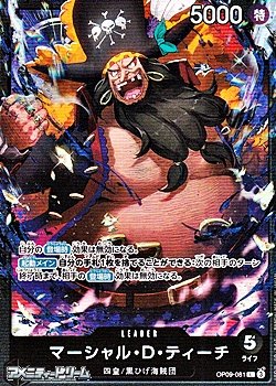 画像1: 【L】マーシャル・Ｄ・ティーチ