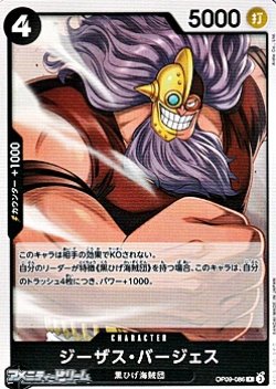 画像1: 【R】ジーザス・バージェス