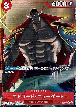 画像1: ◆パラレルイラスト版◆【C】エドワード・ニューゲート
