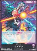 【L】カイドウ