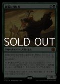 ☆特殊枠【日本語】砂嵐の回収者/Sandstorm Salvager