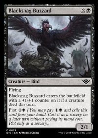 【英語】黒鉤のノスリ/Blacksnag Buzzard