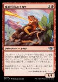 【日本語】魔道士封じのトカゲ/Magebane Lizard