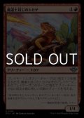 【日本語】魔道士封じのトカゲ/Magebane Lizard