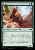 【日本語】巨大ビーバー/Giant Beaver