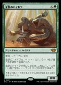 【日本語Foil】金脈のハイドラ/Goldvein Hydra
