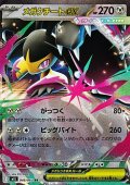 【RR】メガクチートex