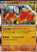 【R】ハリテヤマ