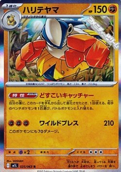 画像1: 【R】ハリテヤマ