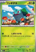 【C】フシギダネ