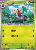【C】コノハナ
