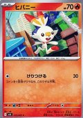 【C】ヒバニー