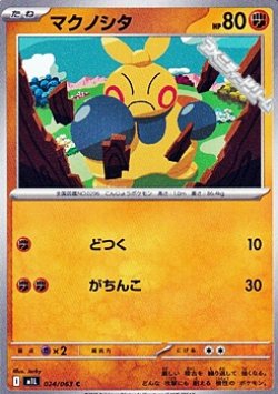 画像1: 【C】マクノシタ