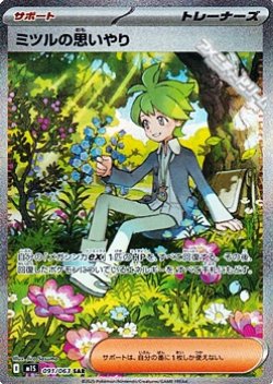 画像1: 【SAR】ミツルの思いやり