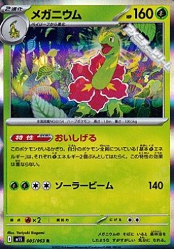 画像1: 【R】メガニウム