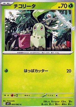 画像1: 【C】チコリータ