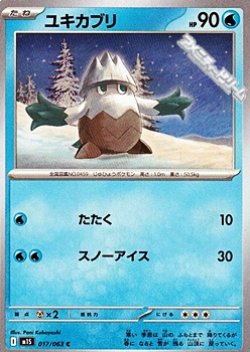 画像1: 【C】ユキカブリ