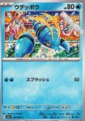 【C】ウデッポウ