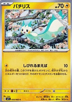 画像1: 【C】パチリス
